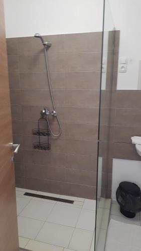 La salle de bains est pourvue d'une douche et d'une porte en verre. dans l'établissement Végvár Delux apartman, à Gyula