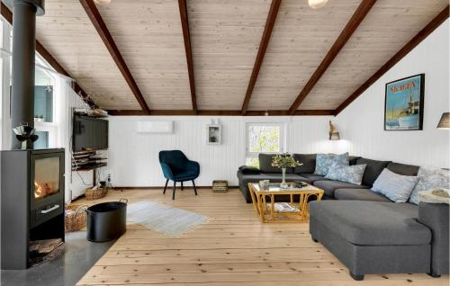 Ålbækにある4 Bedroom Gorgeous Home In Ålbækのソファと暖炉のあるリビングルーム