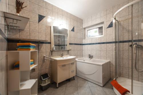 a bathroom with a sink and a toilet and a shower at Apartments JULIA Bohinj in Bohinj