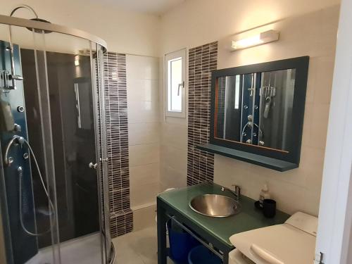une salle de bain avec un lavabo et une douche dans l'établissement Studio moderne RDC avec garage et terrasse - FR-1-550-21, à Saint-Georges-de-Didonne