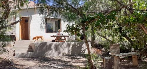 Eine Frau, die an einem Tisch sitzt, mit einem Hund vor einem Haus. in der Unterkunft Dormir con llamas in Maimará