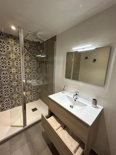 une salle de bain avec un lavabo et une douche dans l'établissement Les Baigneuses Saint Brieuc centre avec parking, à Saint-Brieuc