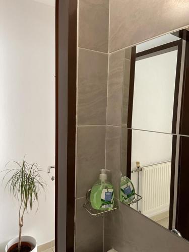 Vienna city apartment 2