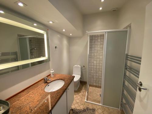 een badkamer met een wastafel, een toilet en een spiegel bij Strandhuset. in Asperup