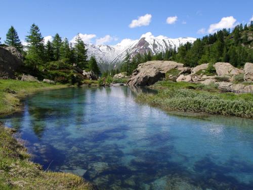 a river in a field with a mountain in the background at Apartment Aragon T100 by Interhome in Fiesch