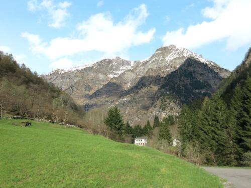 a green field with a mountain in the background at Holiday Home Rustico dell'Orino by Interhome in Alpe di Scieru