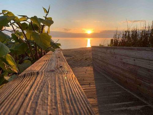 Studio on the Bay. – Photos 5