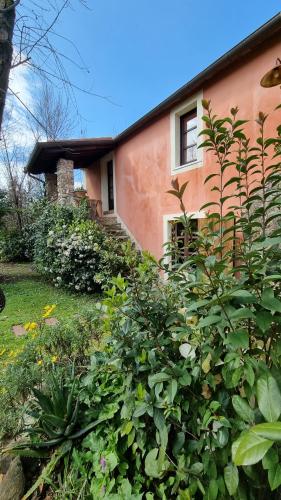 a house with a lot of bushes in front of it at Rose Cottage Tuscany in Fosdinovo