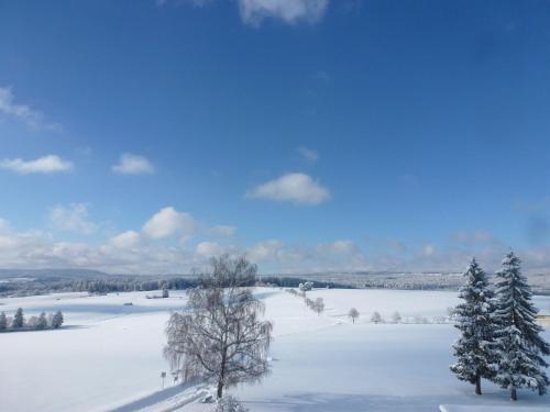 a snow covered field with trees in the distance at Holiday Home Westfalen by Interhome in Dittishausen