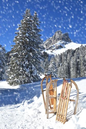 two chairs sitting in the snow in front of a tree at Apartment Guardaval - Utoring-5 by Interhome in Davos