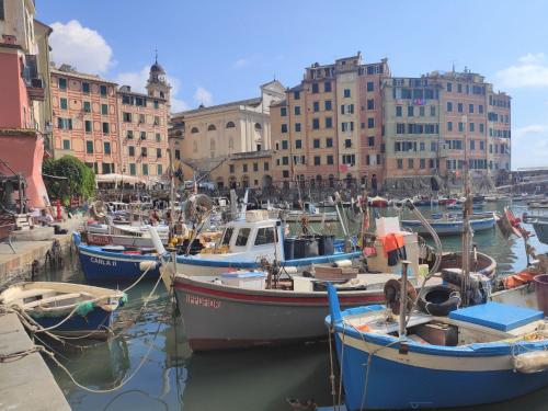 a group of boats docked in a harbor with buildings at Apartment Francesca by Interhome in Camogli