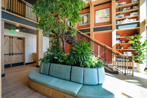 Fotografie z fotogalerie ubytování Mountain View 1br w gym pool wd nr 84 SFO-1337 v destinaci Sunnyvale