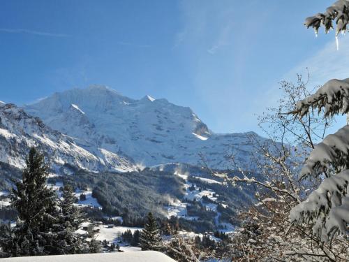 a mountain range with snow on the ground at Apartment Eiger Residence Apt-H by Interhome in Wengen