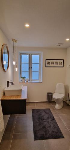 a bathroom with a sink and a toilet at Molsgaarden in Knebel