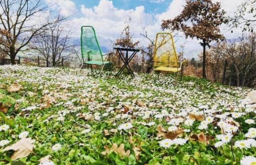 two abandoned playground equipment in a field of flowers at HAPPY GLAMPING MADONIE in Polizzi Generosa