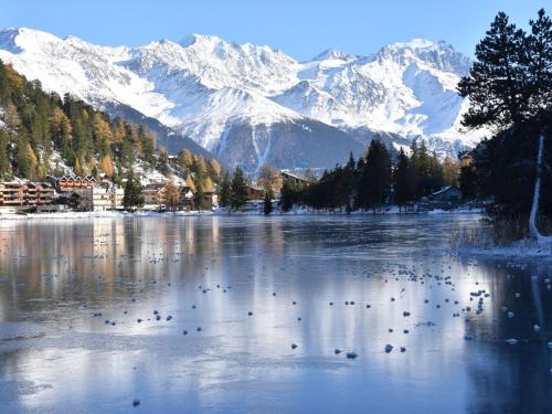 a lake with birds on it with snow covered mountains at Chalet Dufaux by Interhome in Champex
