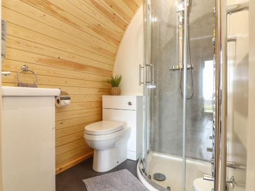 a bathroom with a toilet and a shower at Sun Rise in Penzance