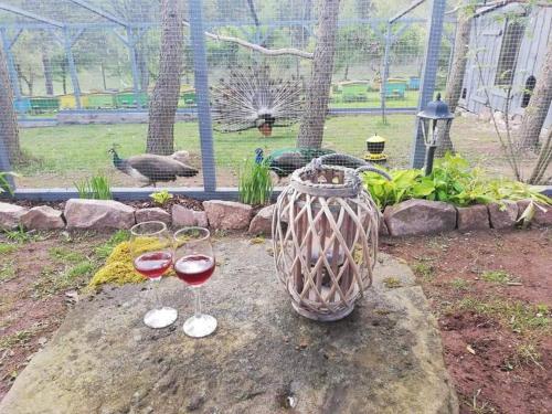 two glasses of wine sitting on a rock with a bird at Lepiej trafić nie mogliście in Mieroszów