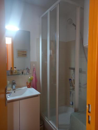 La salle de bains est pourvue d'une douche et d'un lavabo. dans l'établissement Les Sables d'Or, à Le Castellas