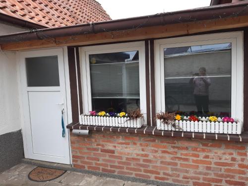 a woman is standing in a window with flowers at Kleine gemütliche Ferienwohnung günstige Lage in Wernigerode