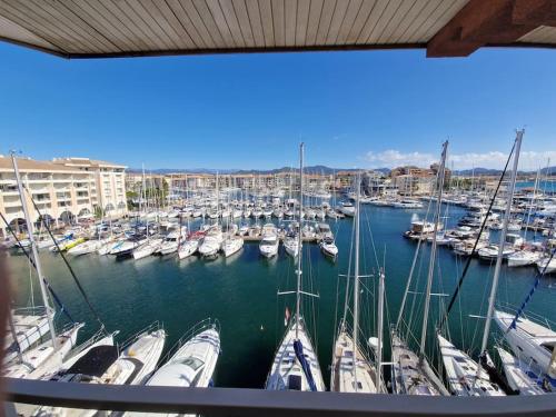 un port de plaisance rempli de nombreux bateaux dans l'eau dans l'établissement Fréjus magnifique vue, à Fréjus