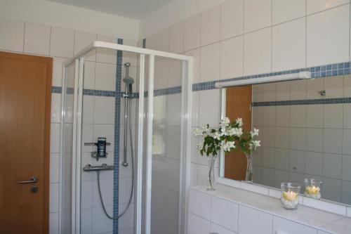 ein Bad mit einer Dusche, einem Spiegel und einem Waschbecken in der Unterkunft Ferienwohnung Sonnenblick in Ückeritz