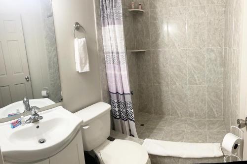 La salle de bains est pourvue d'une douche, de toilettes et d'un lavabo. dans l'établissement Lace Bed & Breakfast, à Georgetown