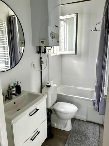 a bathroom with a toilet and a sink and a mirror at Apartment near central station in Antwerp