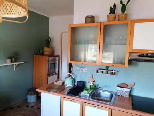 a kitchen with a sink and a counter top at Studio apartman Cactus in Zagreb