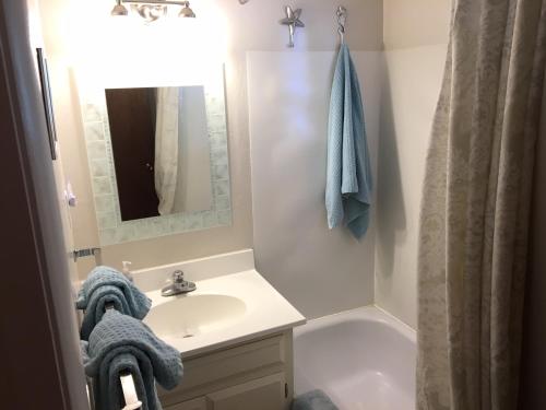 ein Badezimmer mit einem Waschbecken, einem Spiegel und einer Badewanne in der Unterkunft Classic Carnelian Bay Log Cabin in Carnelian Bay
