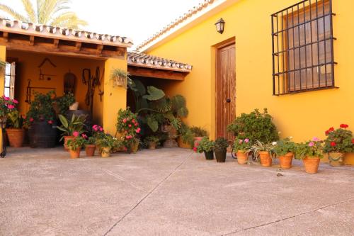 Fotografie z fotogalerie ubytování Hacienda Esperanza v destinaci Estación
