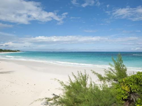 uma praia com o oceano ao fundo em Pebbles cottage em Governorʼs Harbour