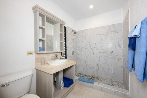 biała łazienka z umywalką i toaletą w obiekcie Provender home w mieście Savannah Sound