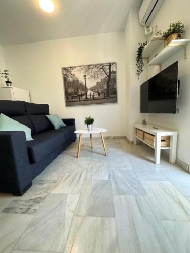 Televízia a/alebo spoločenská miestnosť v ubytovaní Apartamentos Don Diego La Carihuela