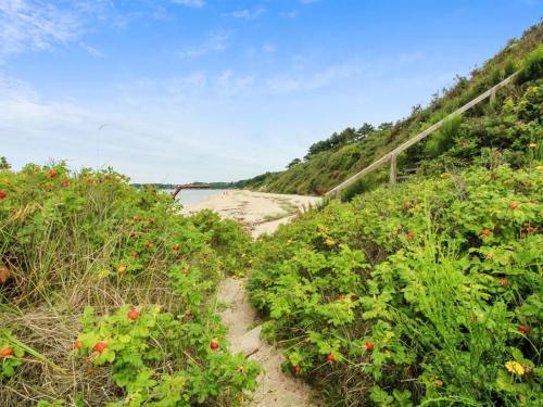 a dirt path leading to a beach with flowers at Holiday Home Aida - 400m from the sea in Bornholm by Interhome in Rønne