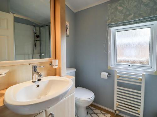 a bathroom with a sink and a toilet and a window at Lodge 16 in Preston