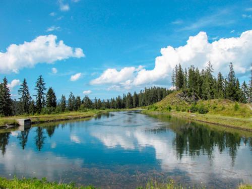 a river with trees and a blue sky with clouds at Apartment Moarerlechenhof-1 by Interhome in Hart im Zillertal