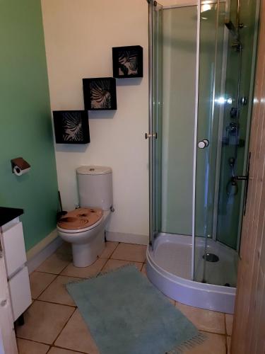 une salle de bain avec toilettes et douche dans l'établissement Pégase, à Fa