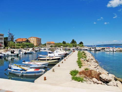 a bunch of boats are docked in a harbor at Holiday Home Kalebica by Interhome in Tkon