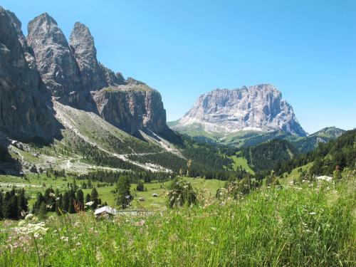 a valley in the mountains with grass and flowers at Apartment Chalet Baita Tabià Dolomites by Interhome in Bellamonte