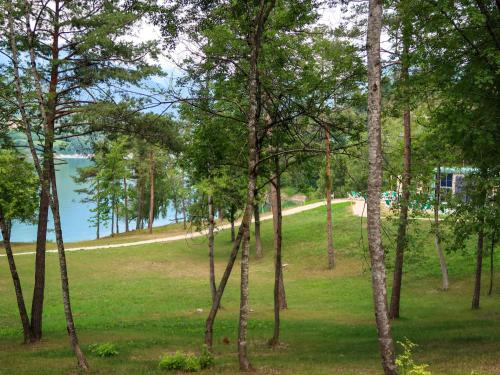 a group of trees in a field next to a body of water at Apartment Pensione Villa Belfiore-1 by Interhome in Ronzone