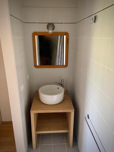a bathroom with a sink and a mirror at Gîte Banet-Sart à Daverdisse in Daverdisse