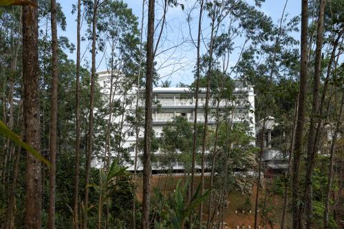 a white building is seen through the trees at HOTEL WHITE HOUSE, Munnar in Munnar