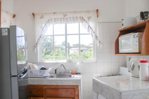 uma cozinha com um lavatório e uma janela em Van Villa Guesthouse em Negril