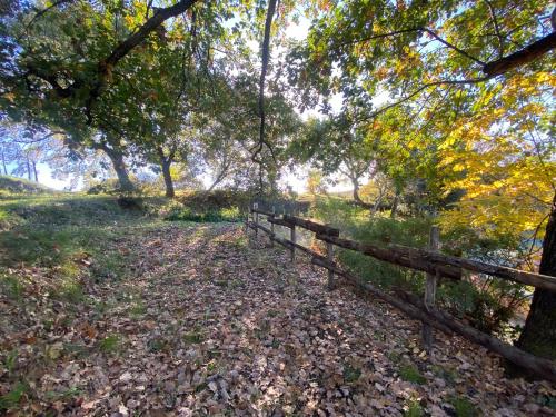 Gallery image of Casale Pippy Percorso benessere in Ardea