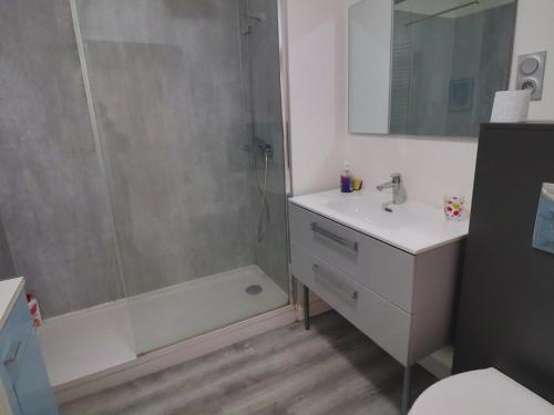 une salle de bain avec une douche, un lavabo et des toilettes dans l'établissement Appartement RDC à Sète: 3 pièces, Piscine, Accès Plage, Parking, Wifi - FR-1-472A-167, à Sète