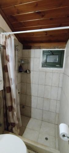 baño con ducha y aseo y ventana en To Petrino, en Agios Ioannis