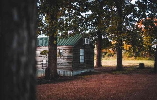 a log cabin with trees in front of it at Lakefront Cedar Cabin - 10 in Mead