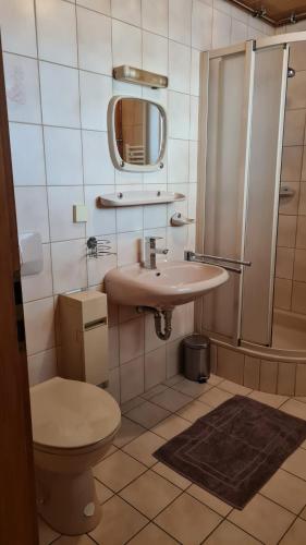 y baño con lavabo, aseo y ducha. en Fridolin, en Eichenbühl