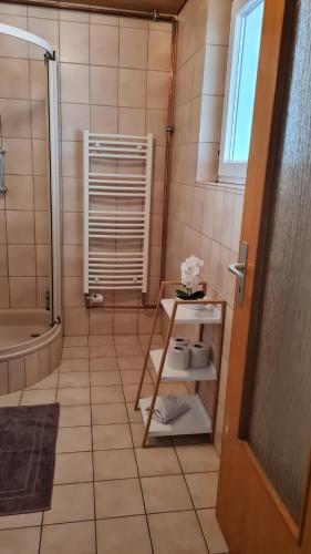 un baño con ducha y un estante con flores. en Fridolin, en Eichenbühl